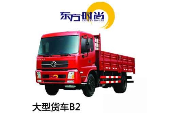 初學(xué)大型貨車(chē)駕照班